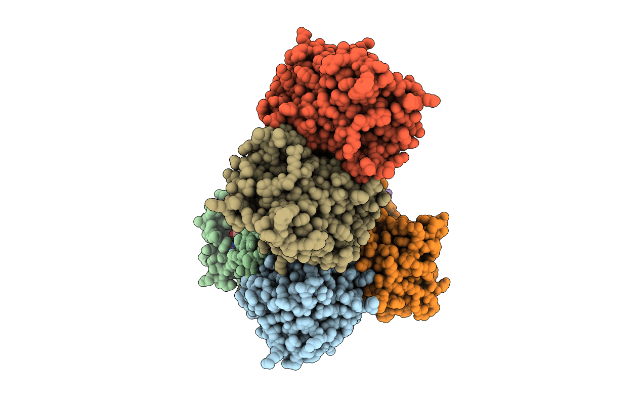 5CPB image