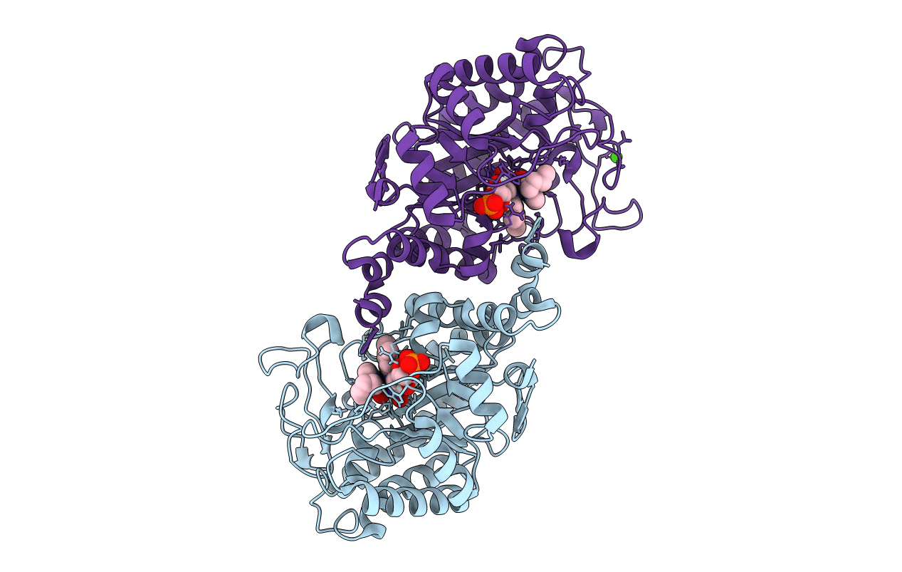 5CPO image