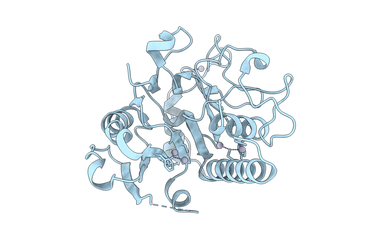 5CQM image