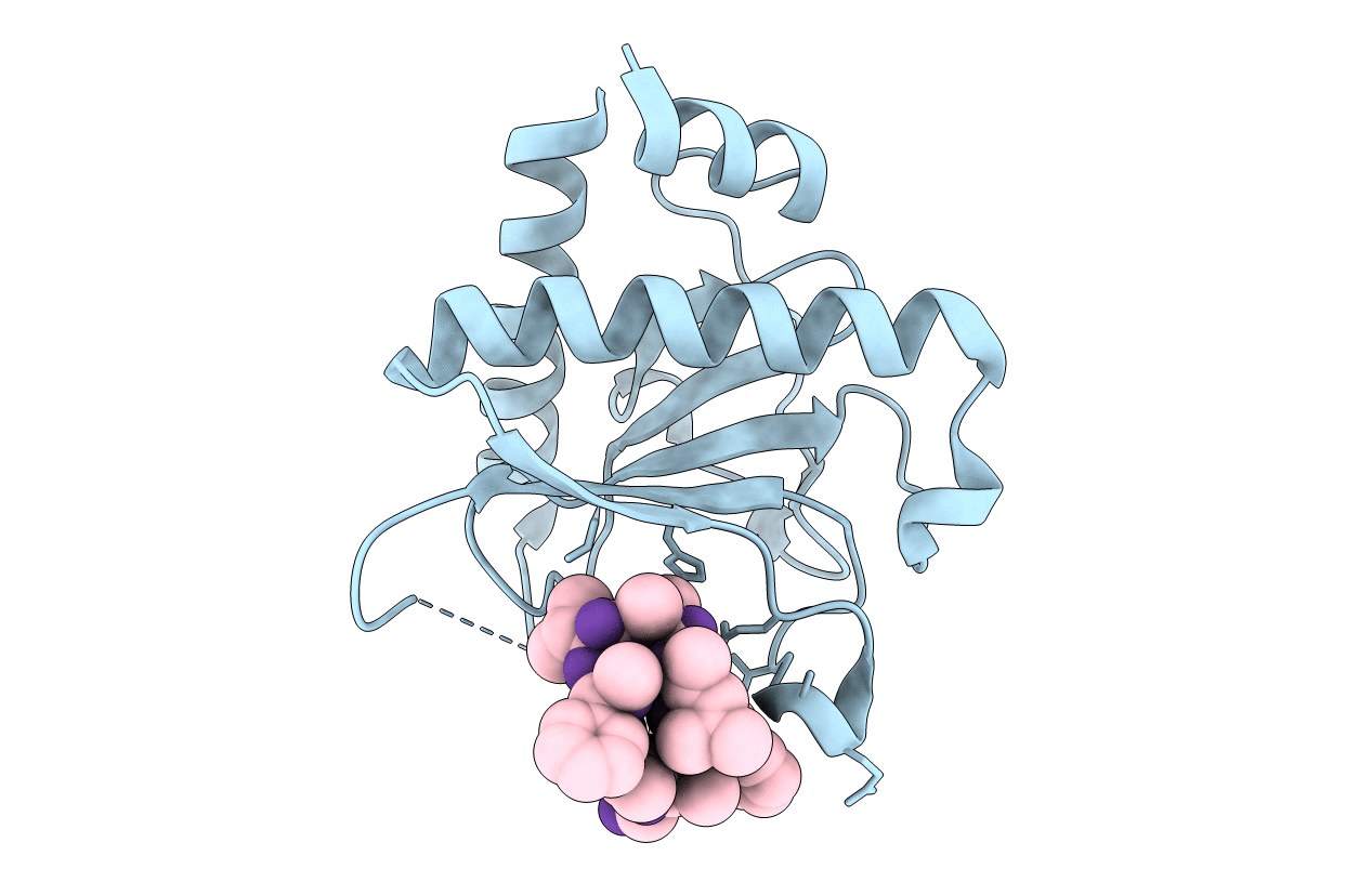 5CS2 image