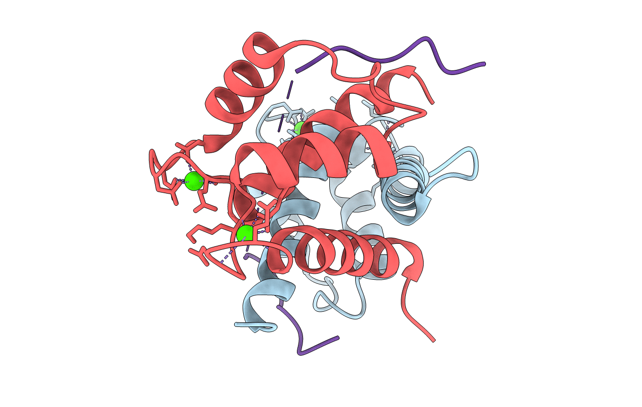 5CSI image