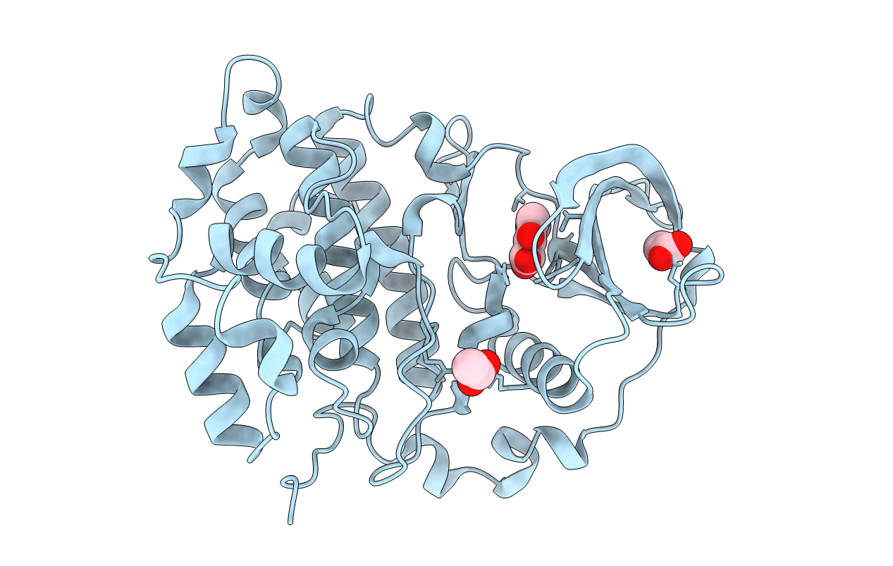 5CSP image