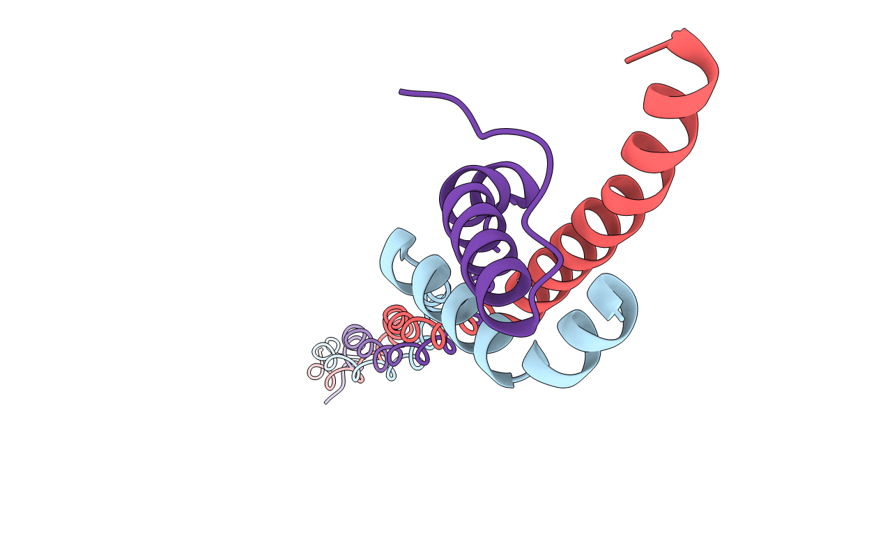 5CTD image