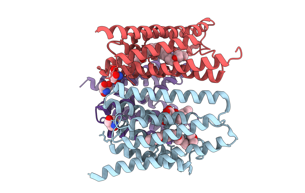 5CTG image