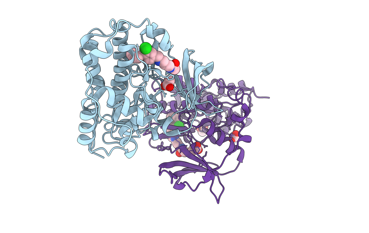 5CTP image