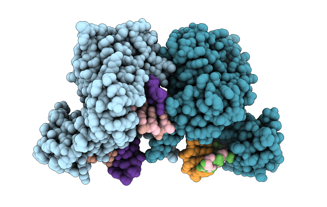 5CWR image