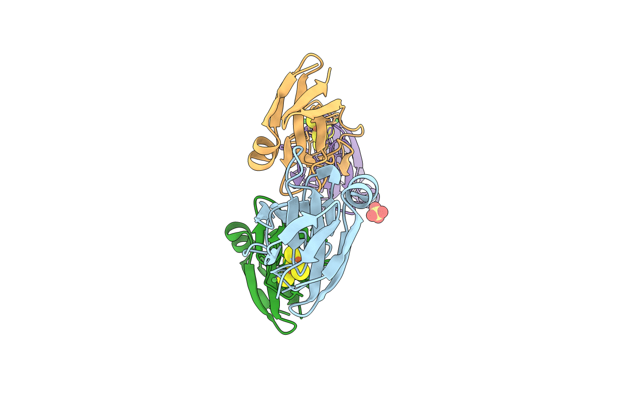 5CXM image