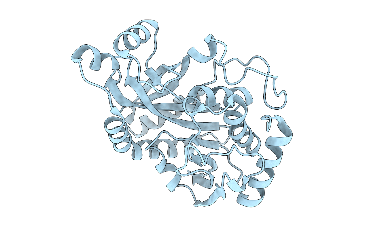 5CXQ image