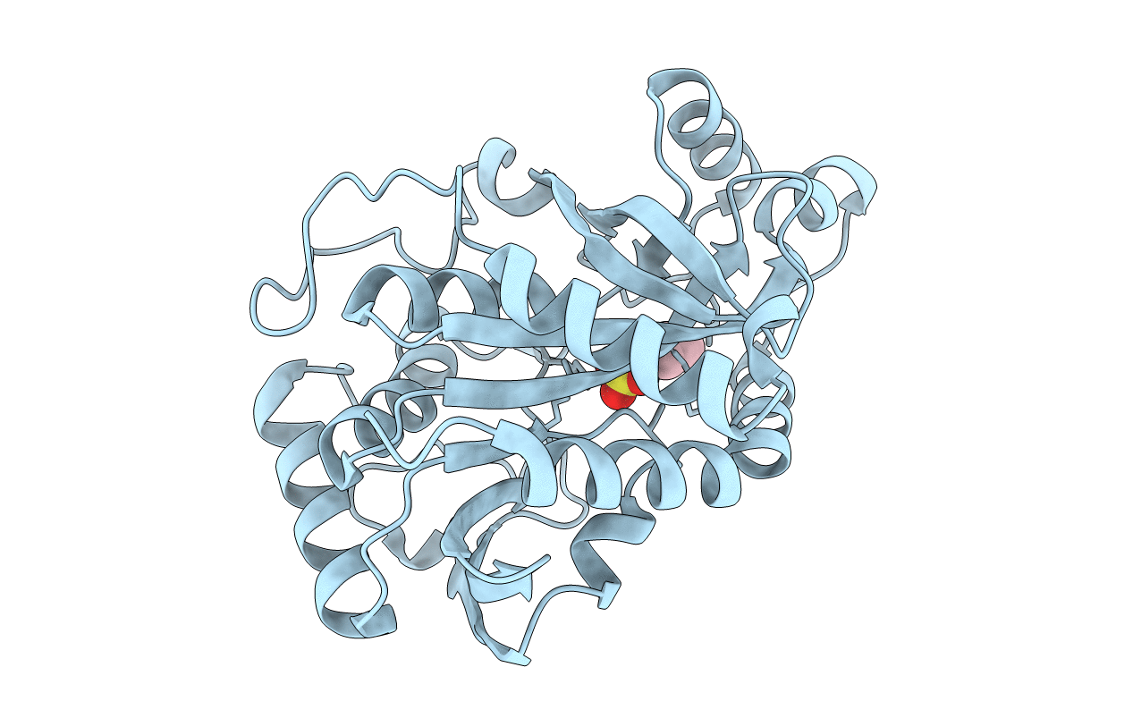 5CXS image