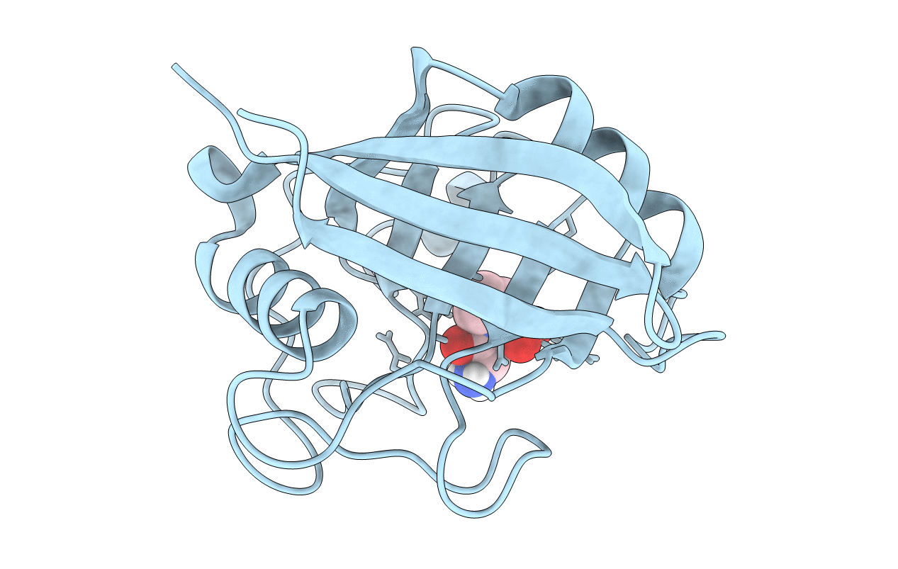 5CYH image