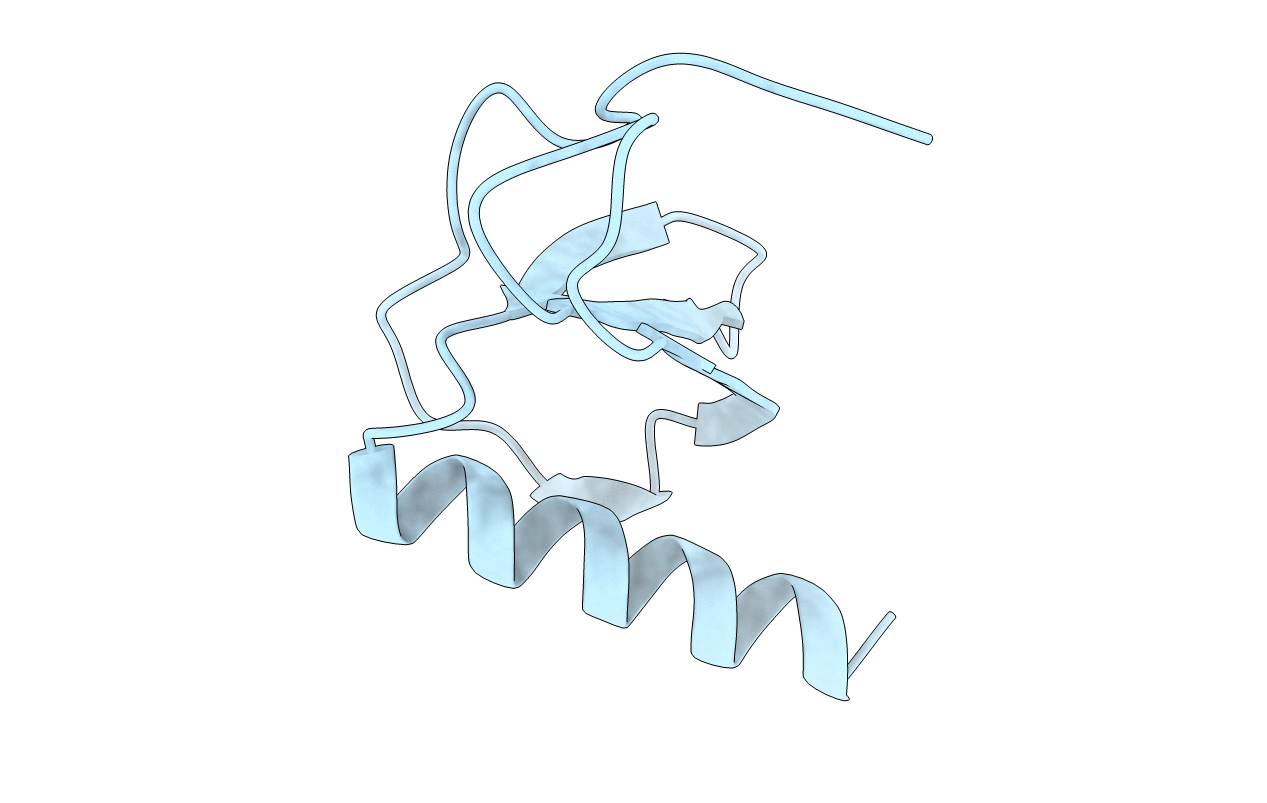 5D14 image