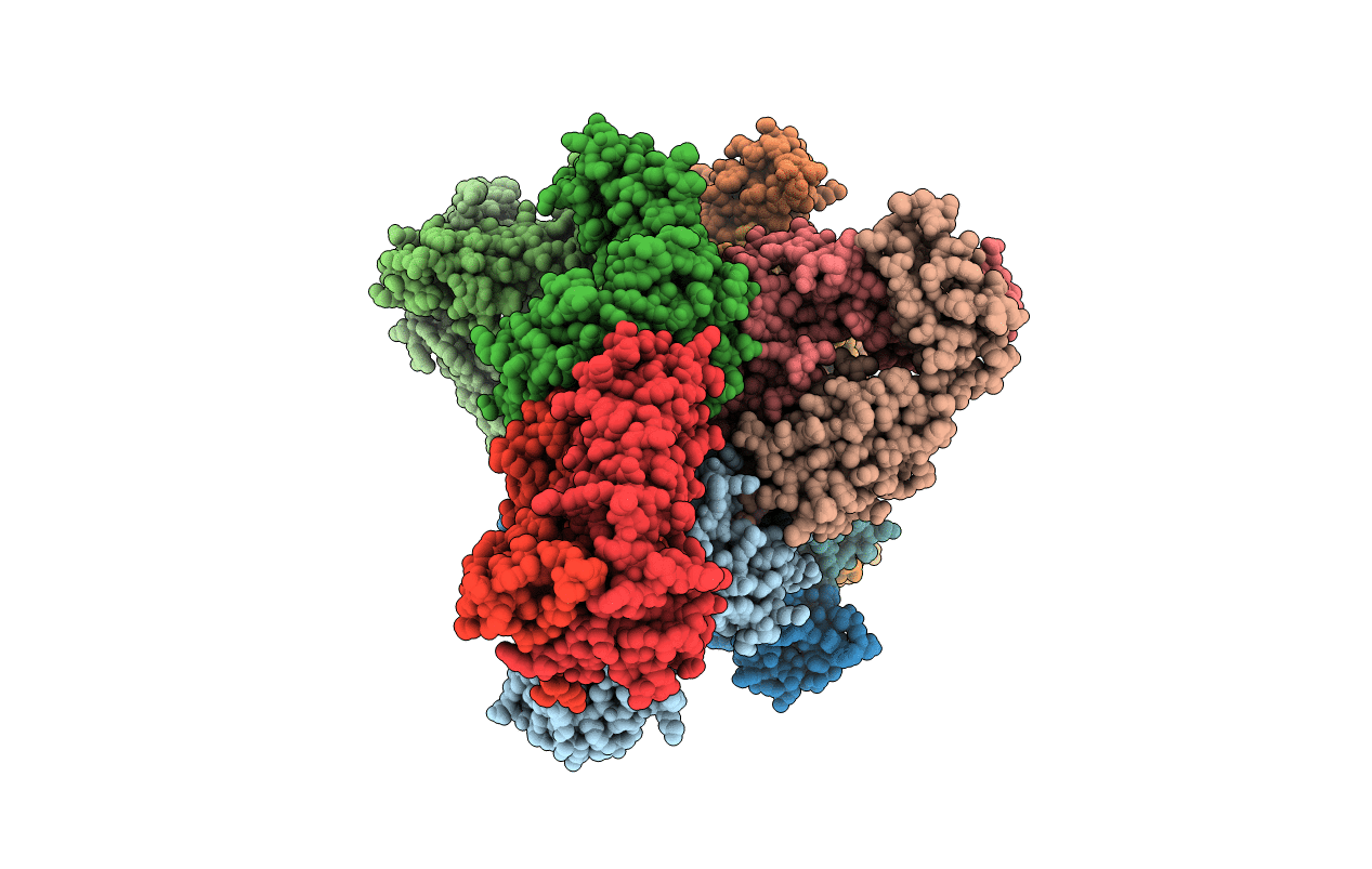 5D2L image