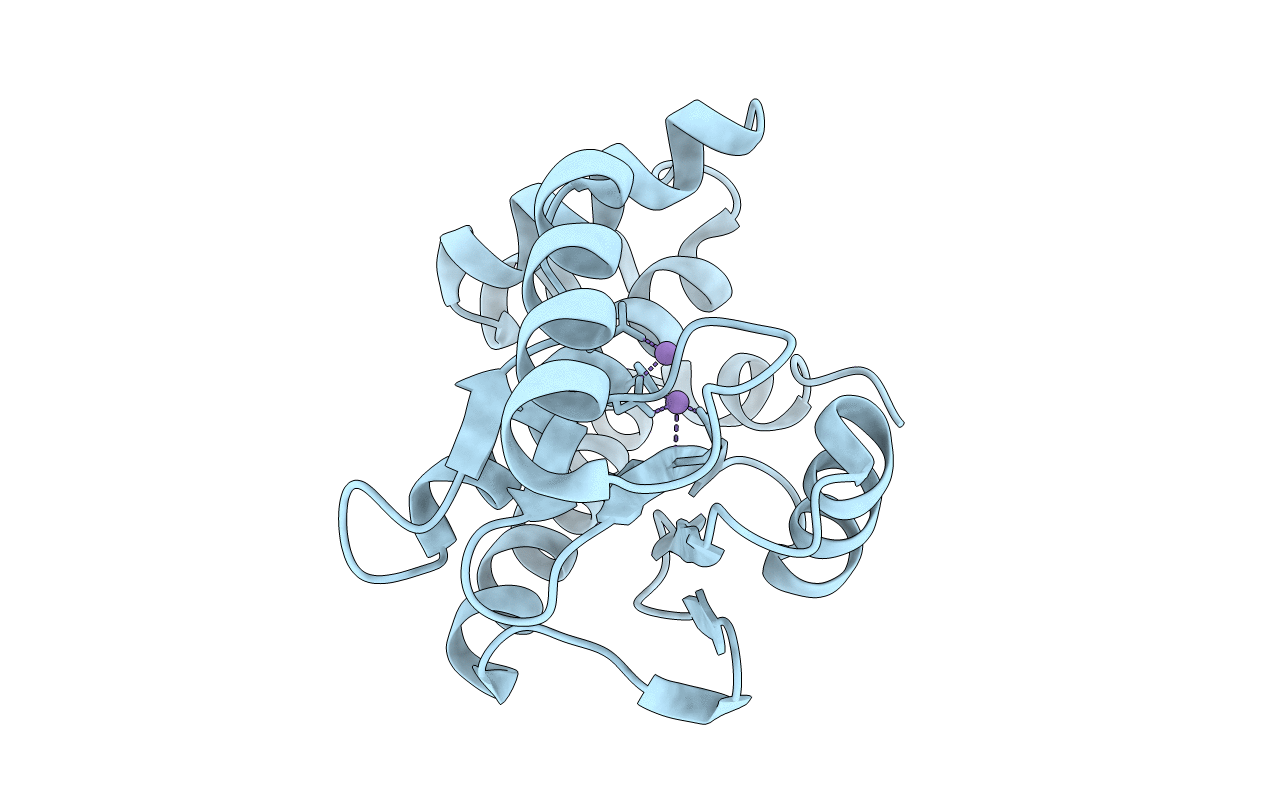 5D2O image
