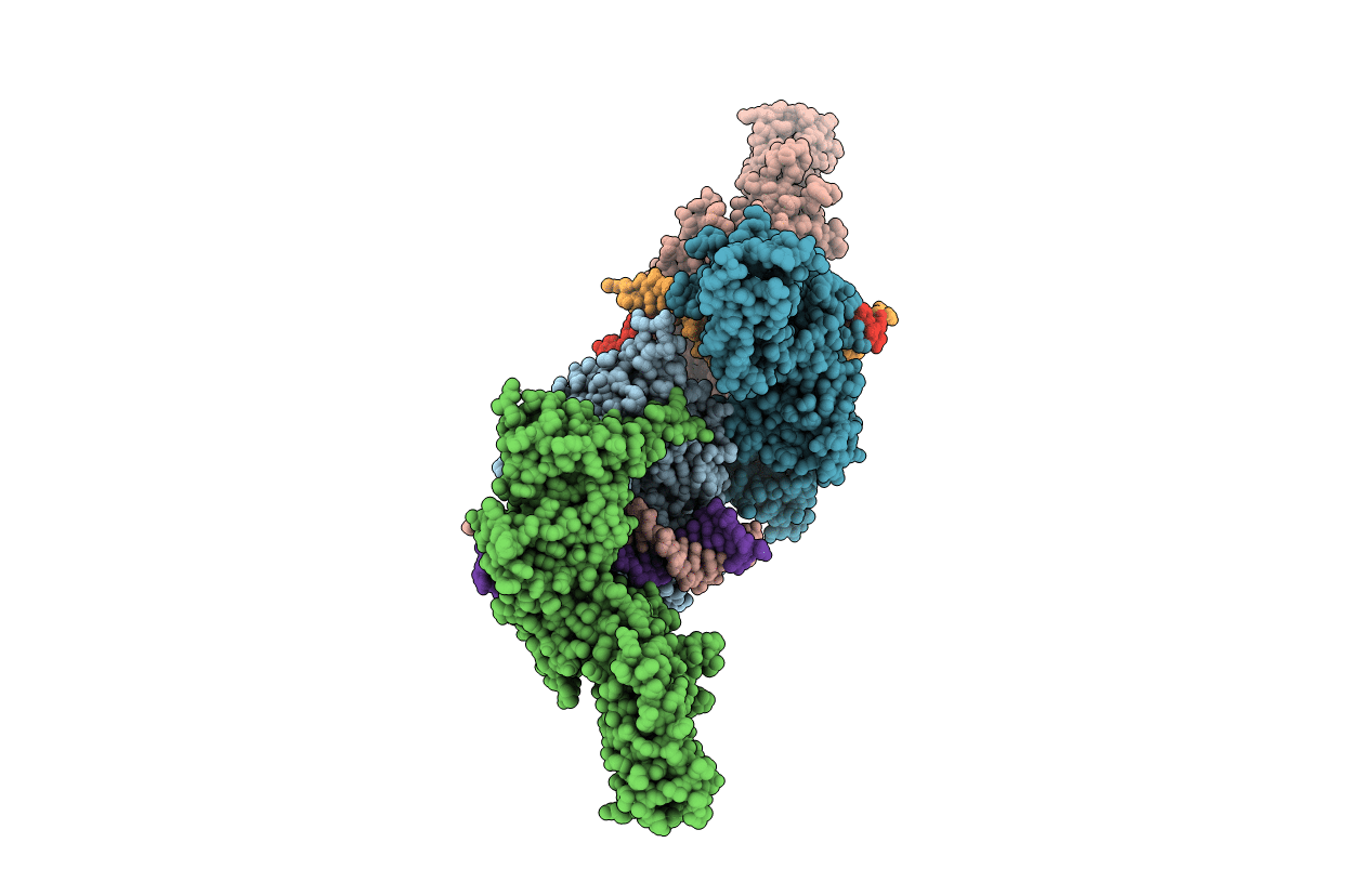 5D39 image