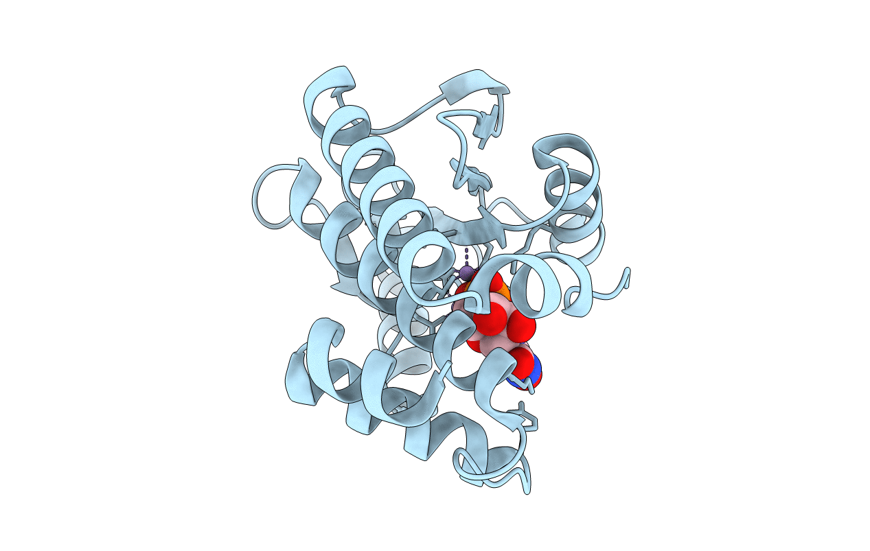 5D4G image