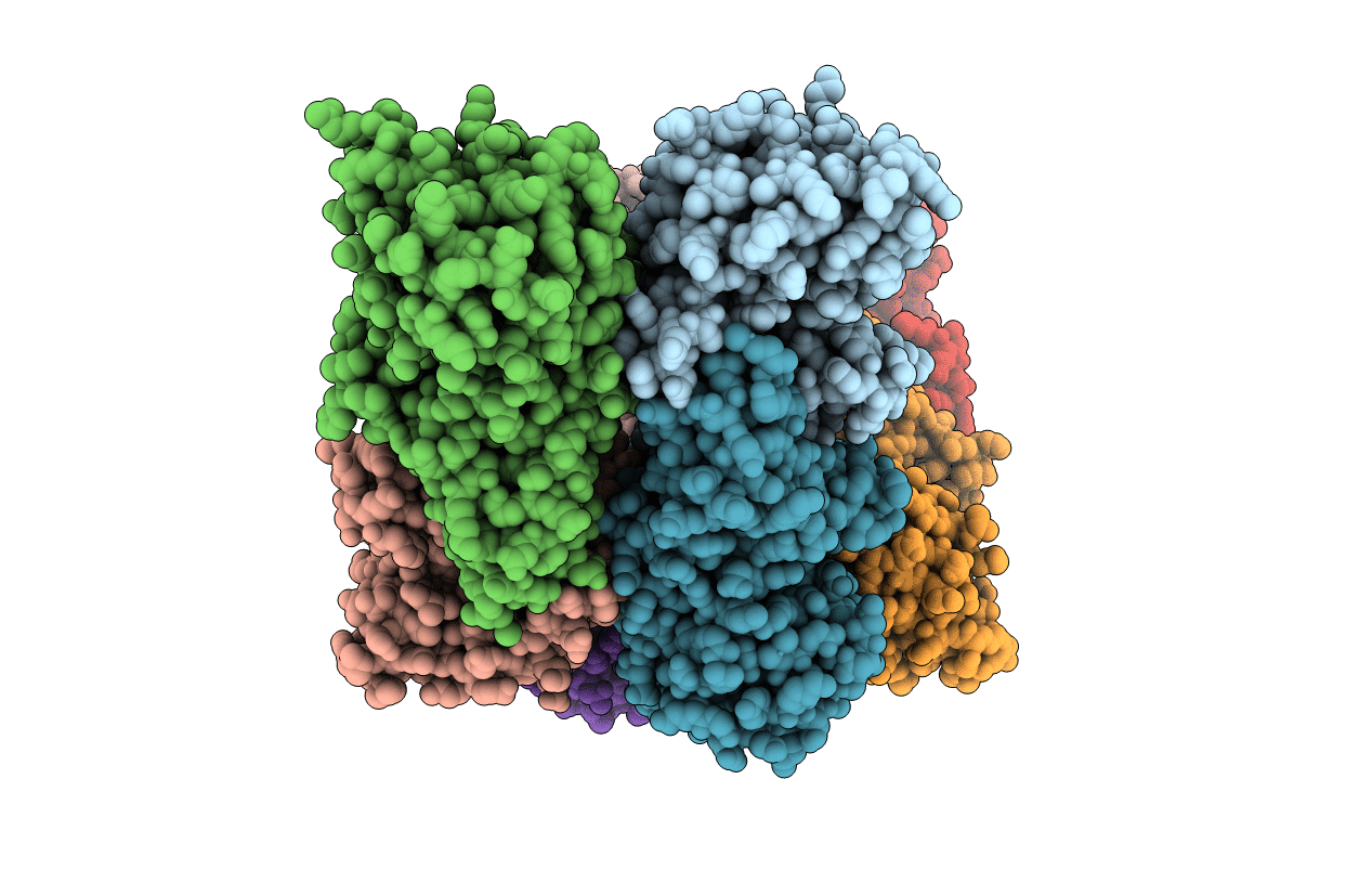 5D4T image