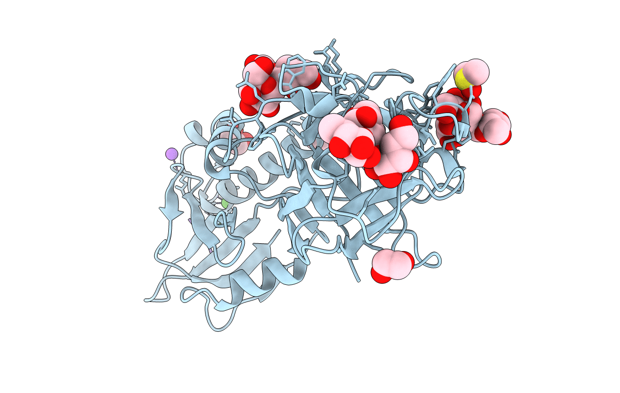 5D61 image