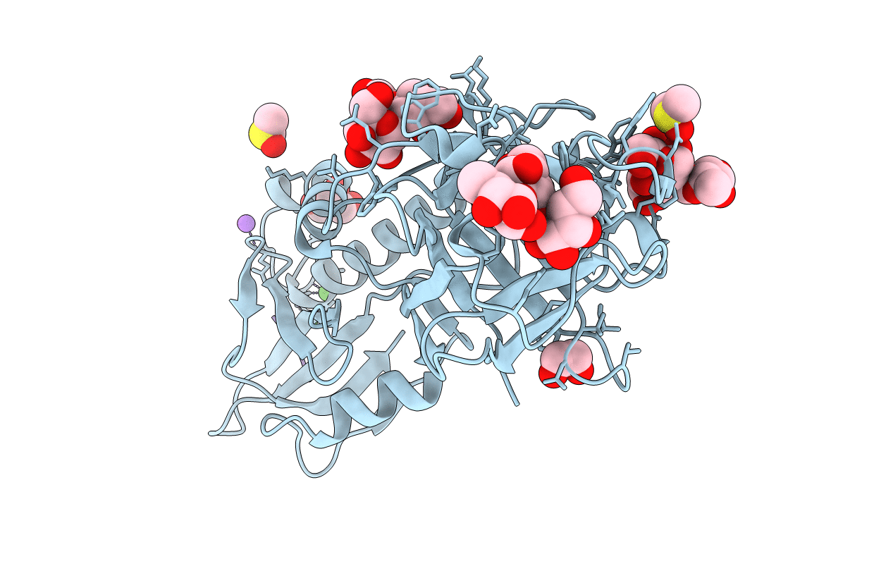 5D63 image