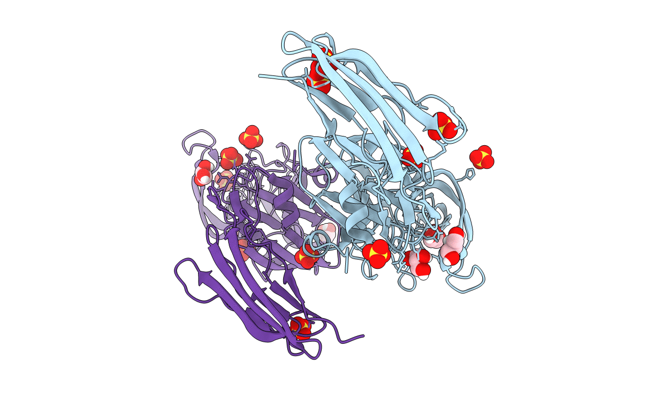 5D7H image