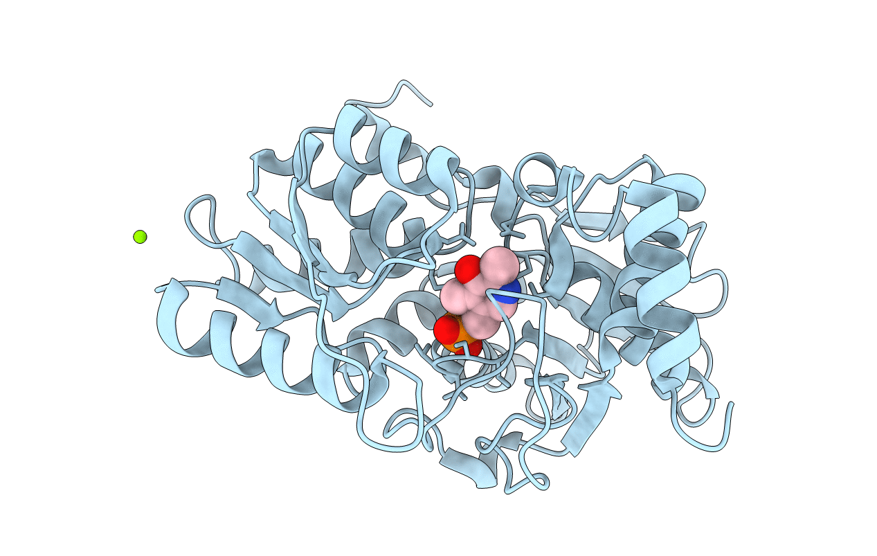 5D84 image