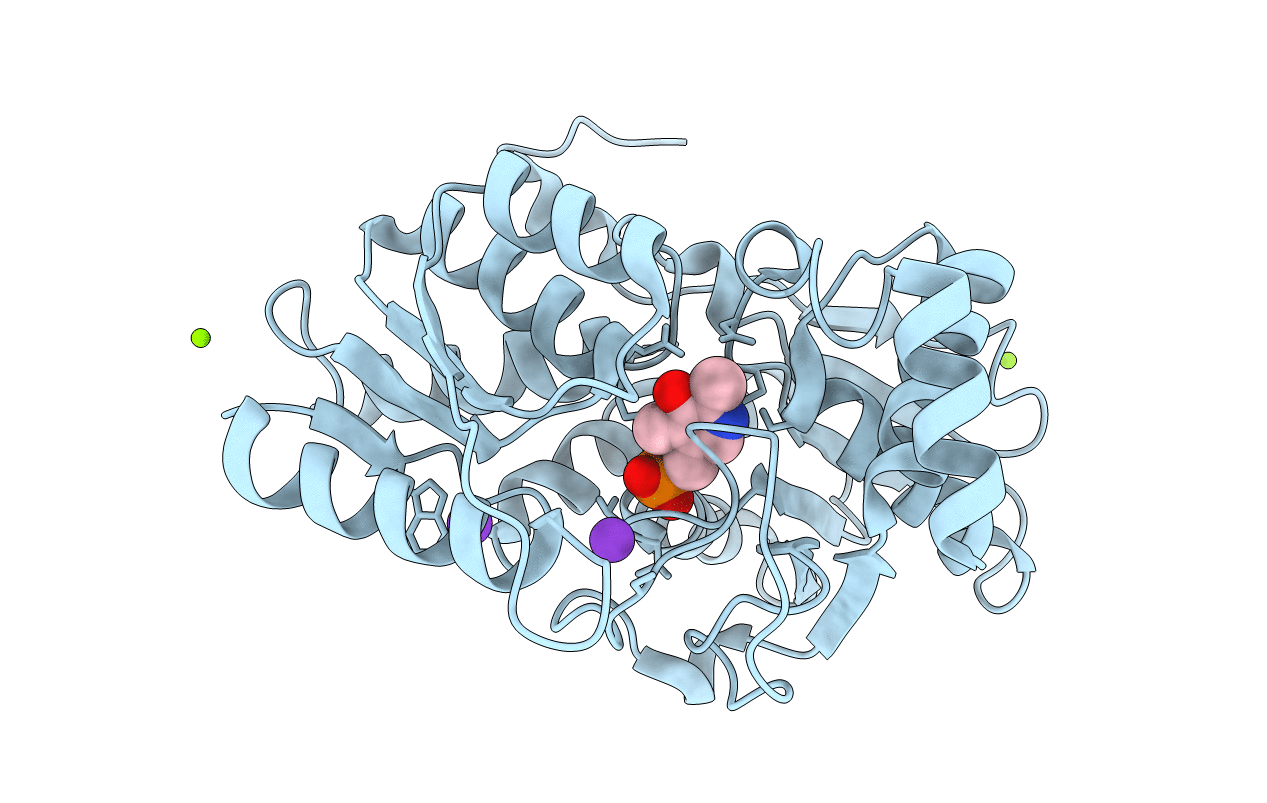 5D87 image