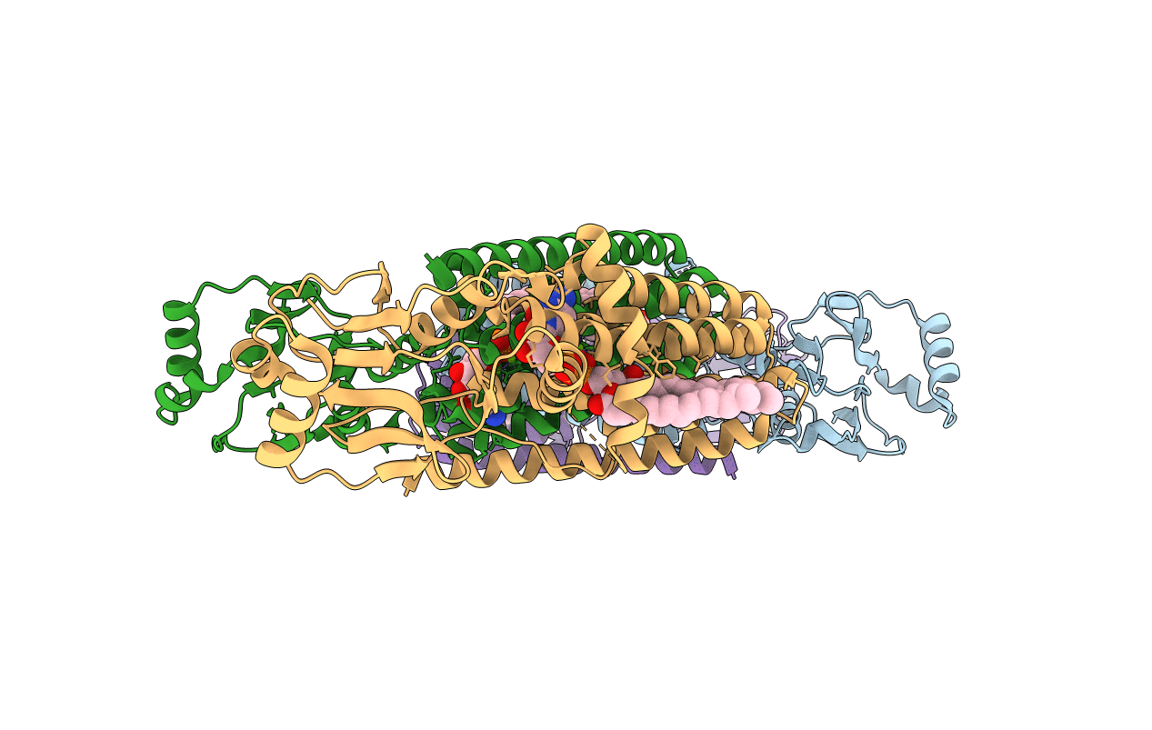 5D92 image