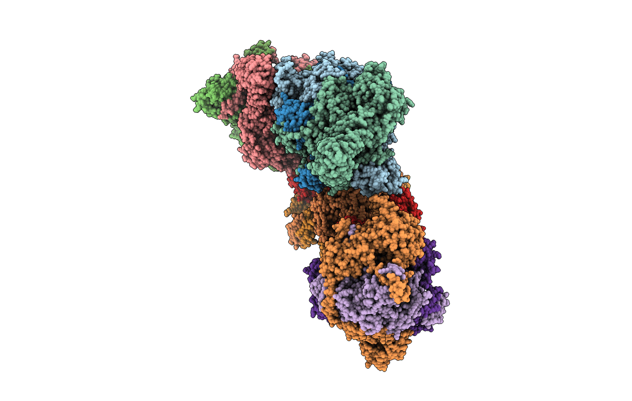 5D9A image