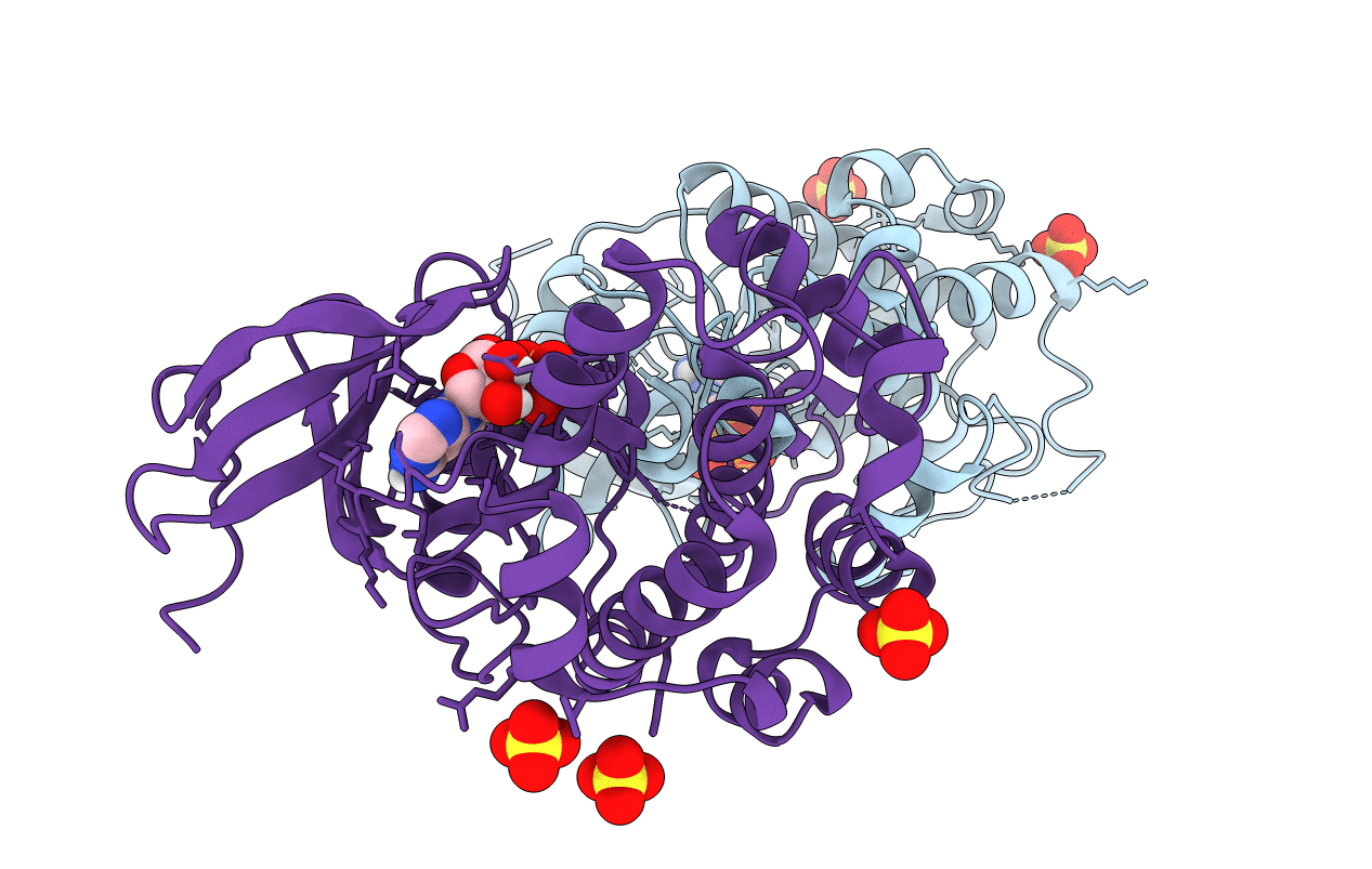 5D9H image
