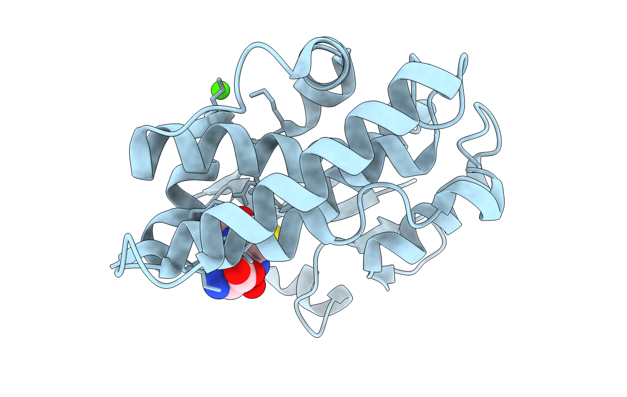 5D9X image