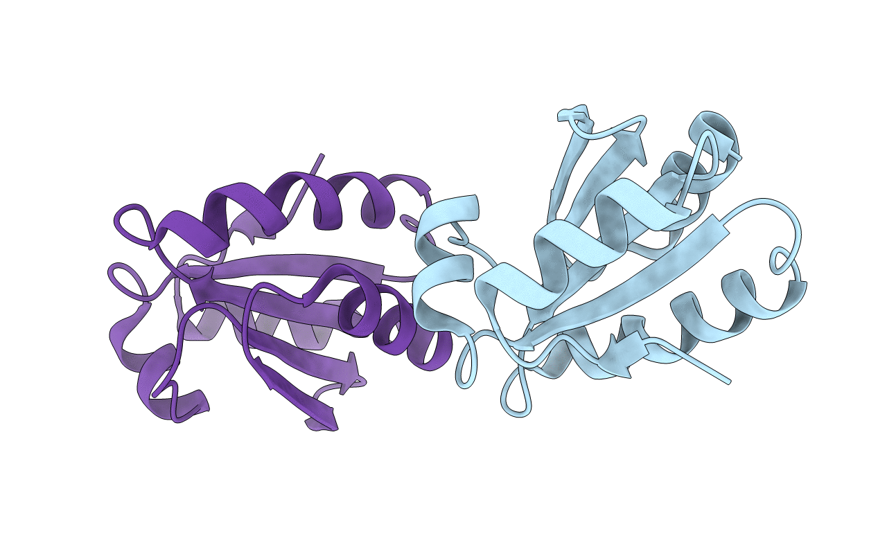 5DBQ image