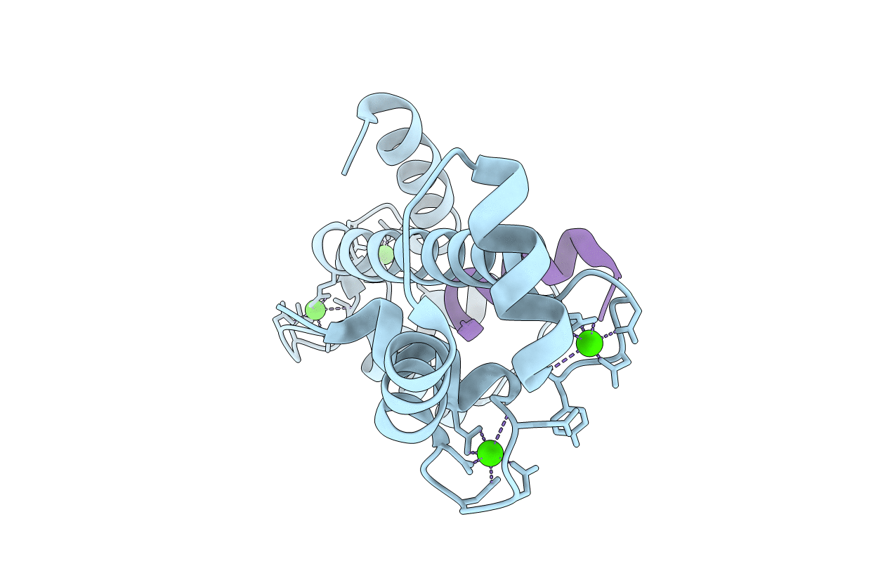 5DBR image