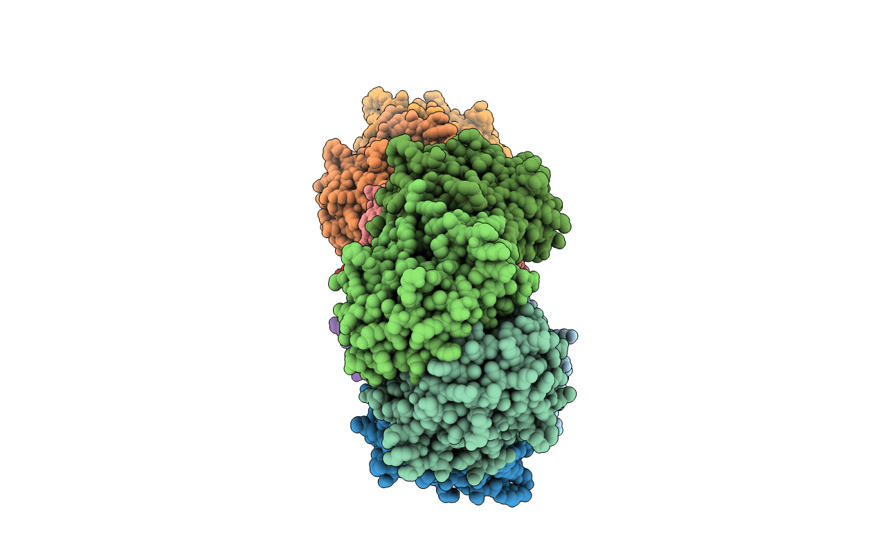 5DBT image