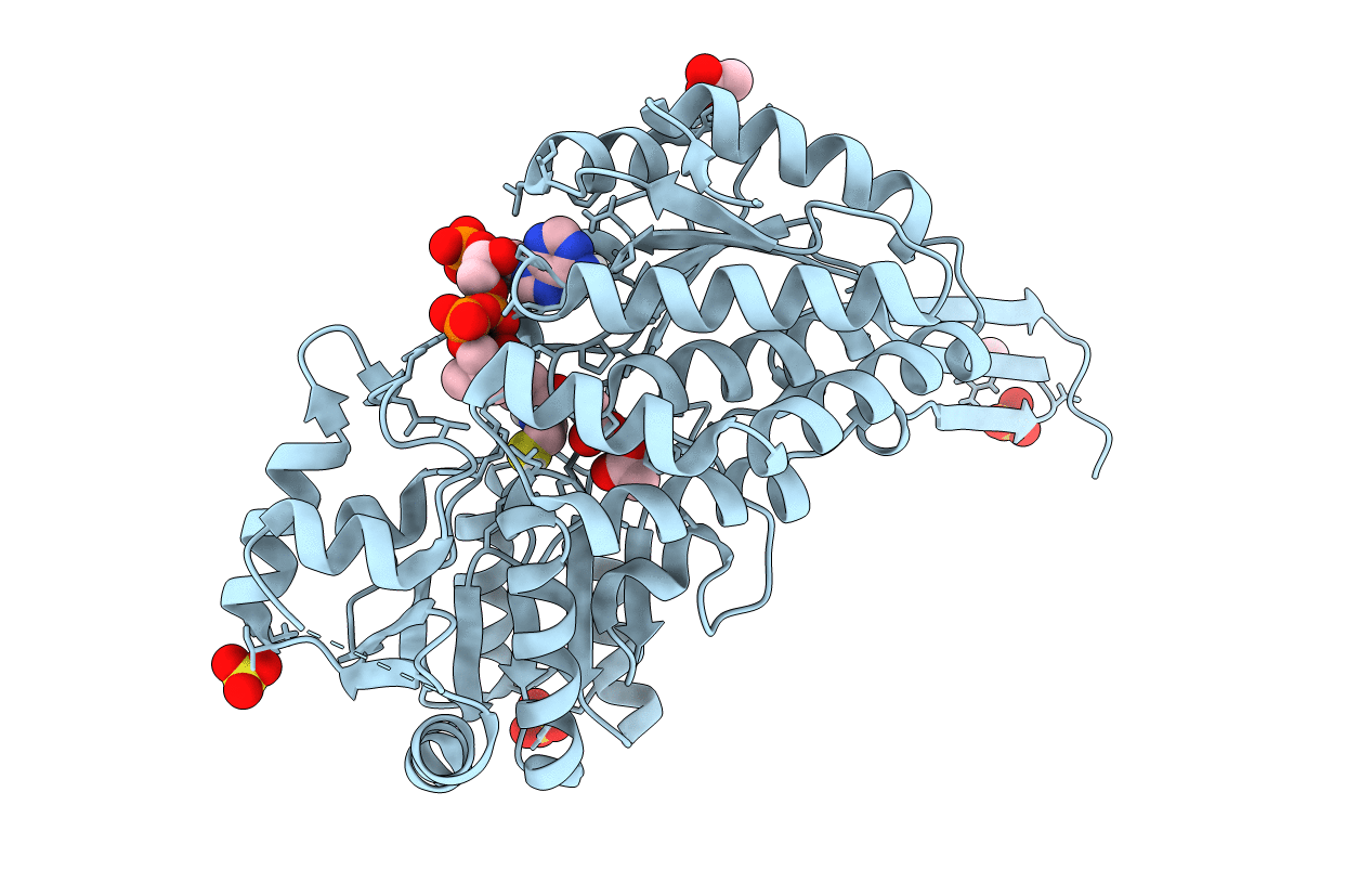 5DBV image