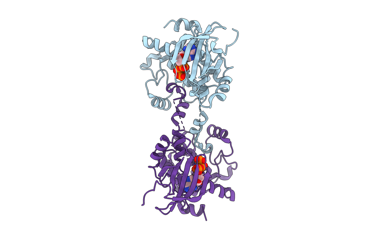 5DBX image