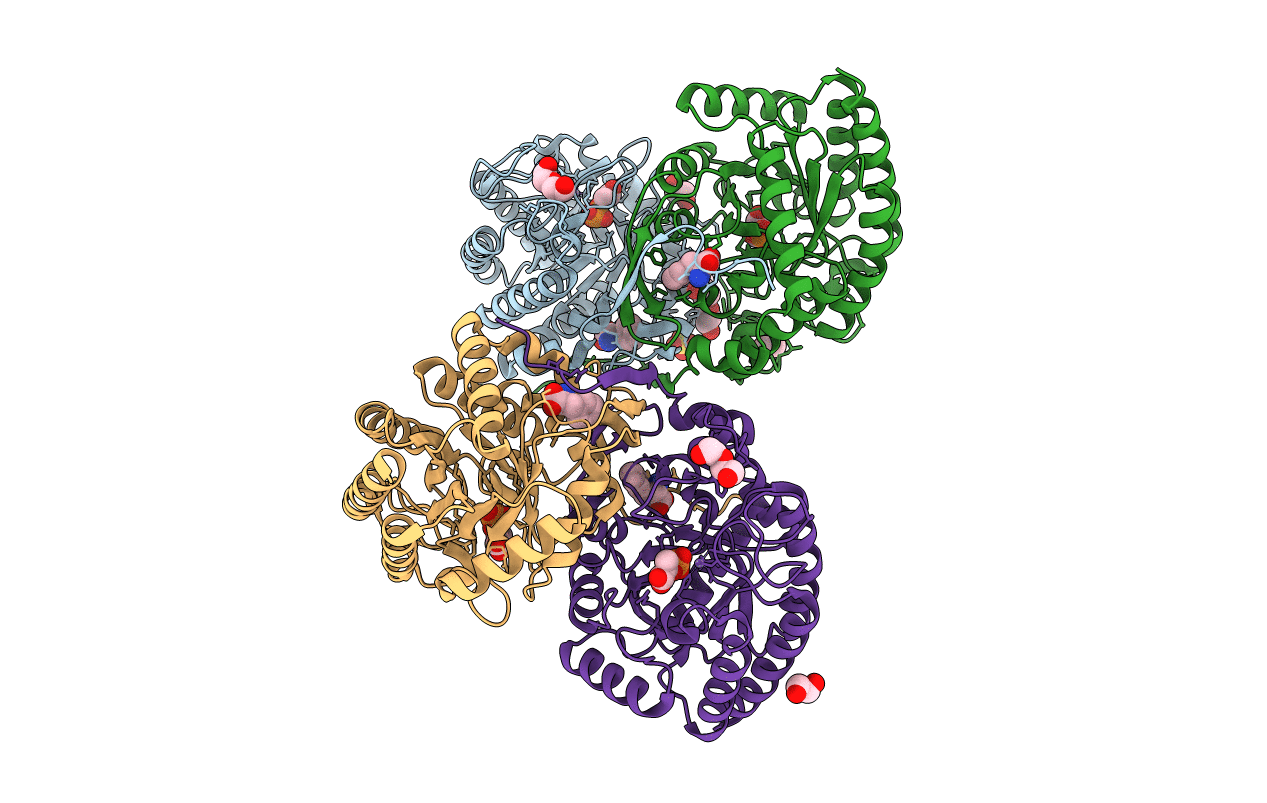 5DCB image