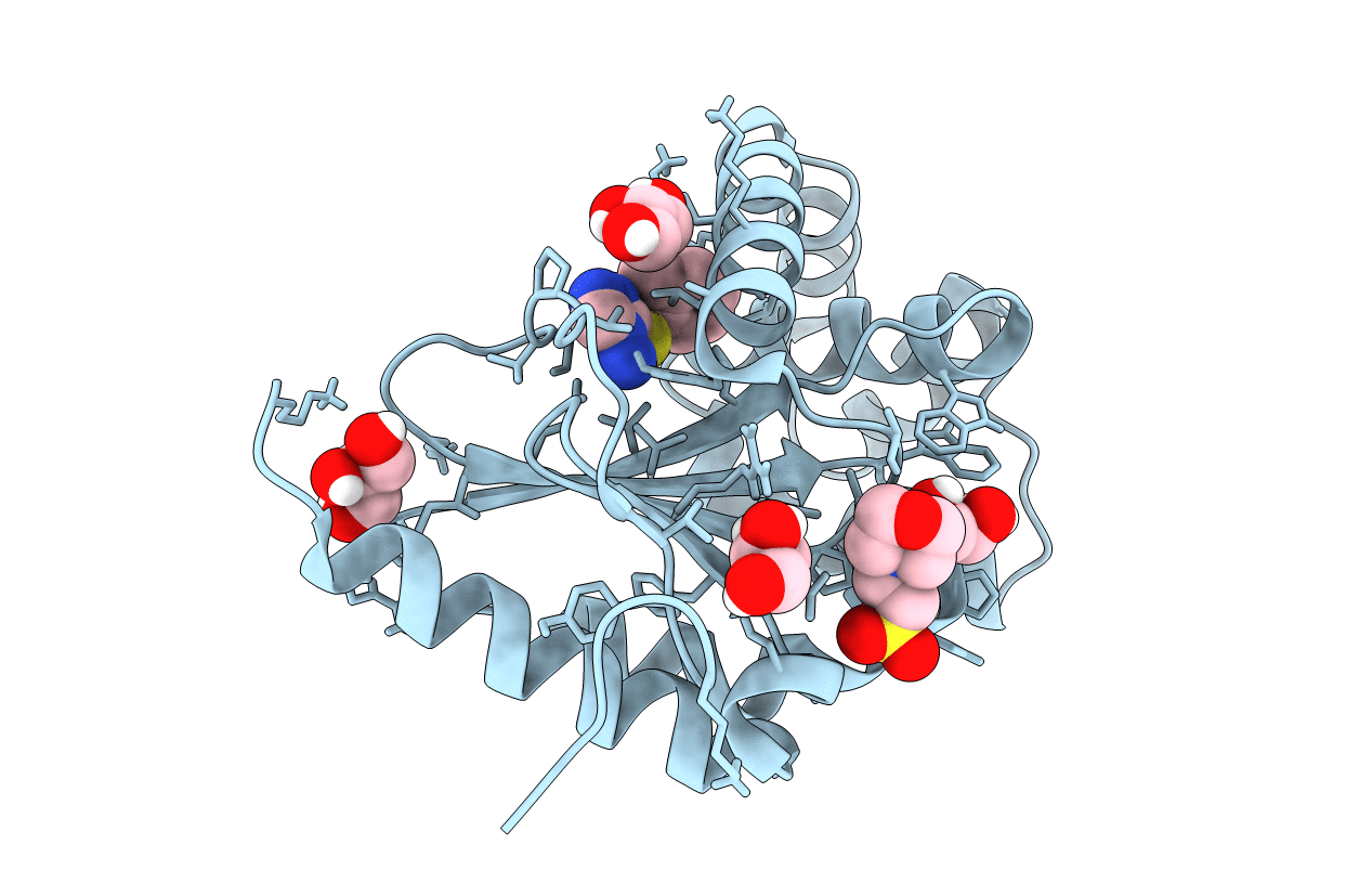 5DCH image