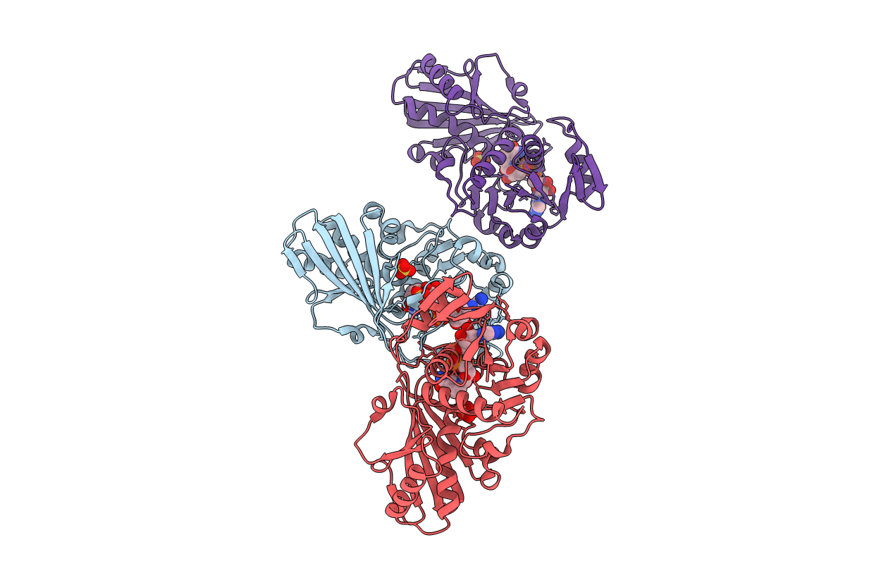 5DDI image
