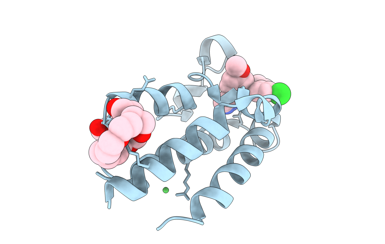 5DFC image