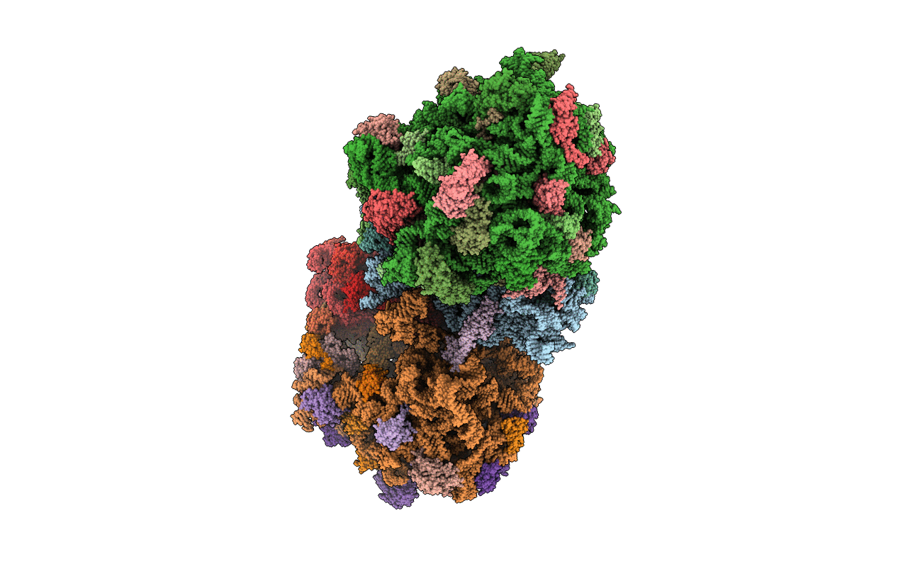 5DFE image