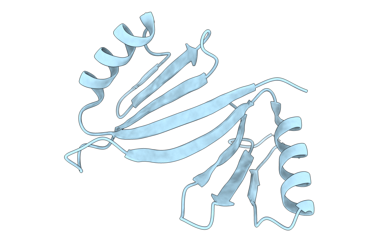5DFG image