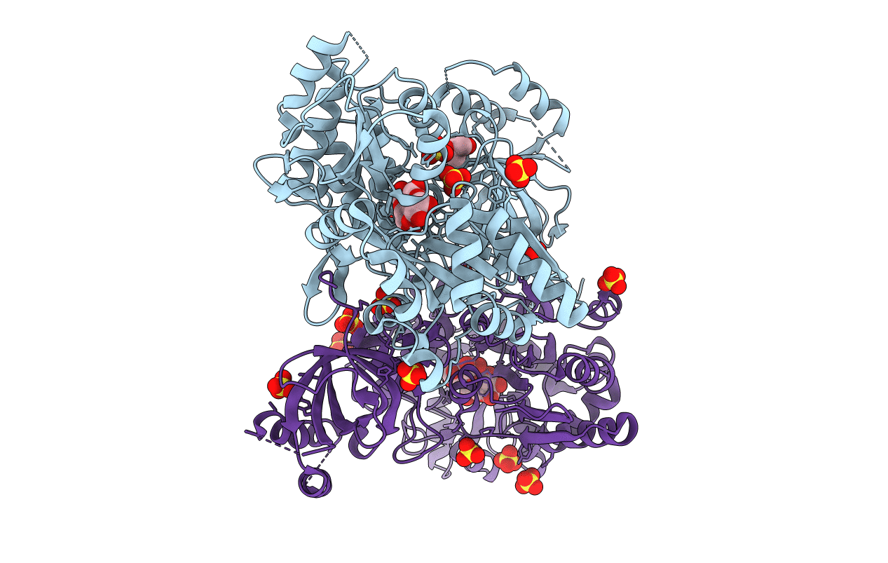 5DFM image