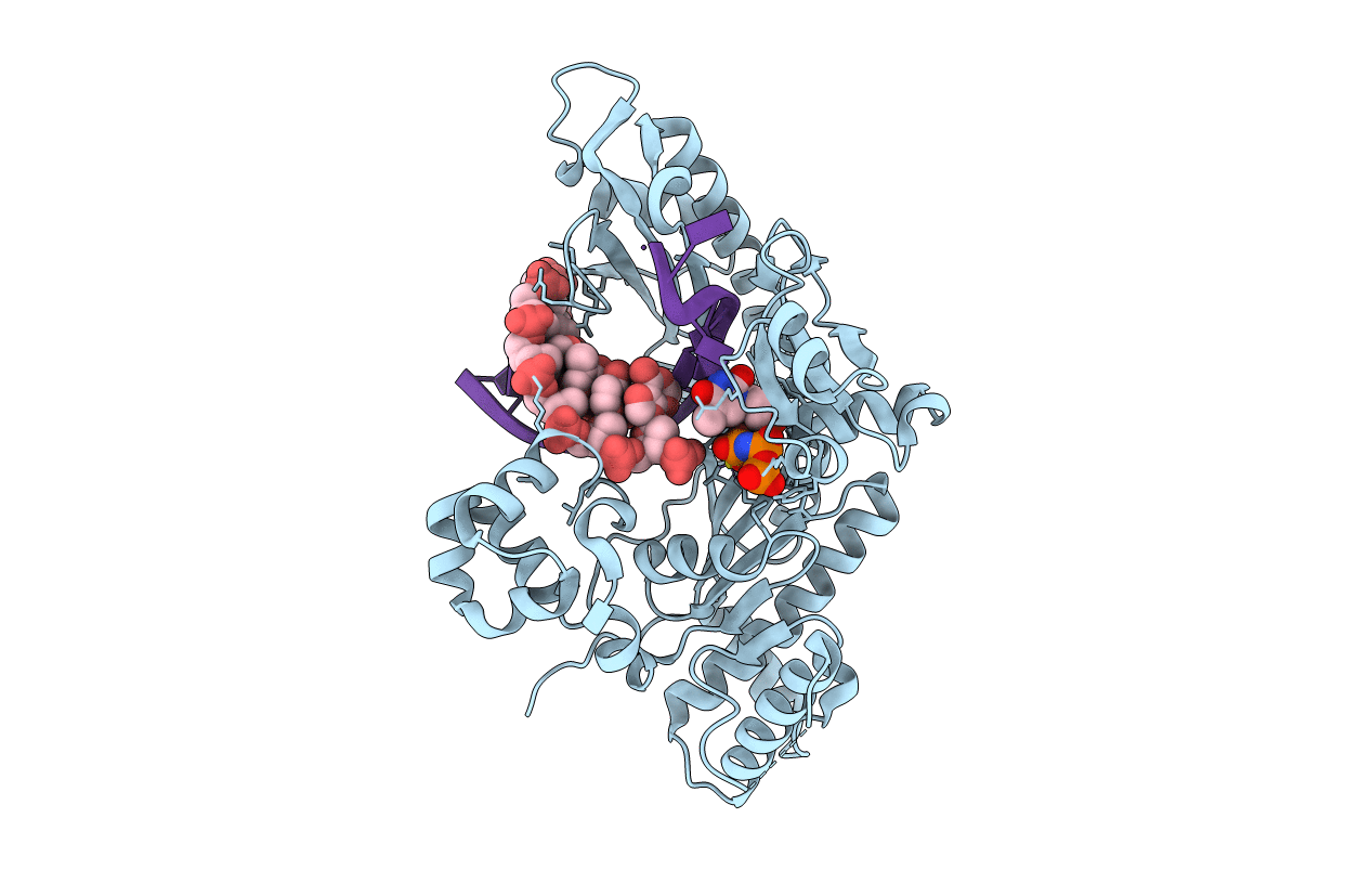 5DGA image
