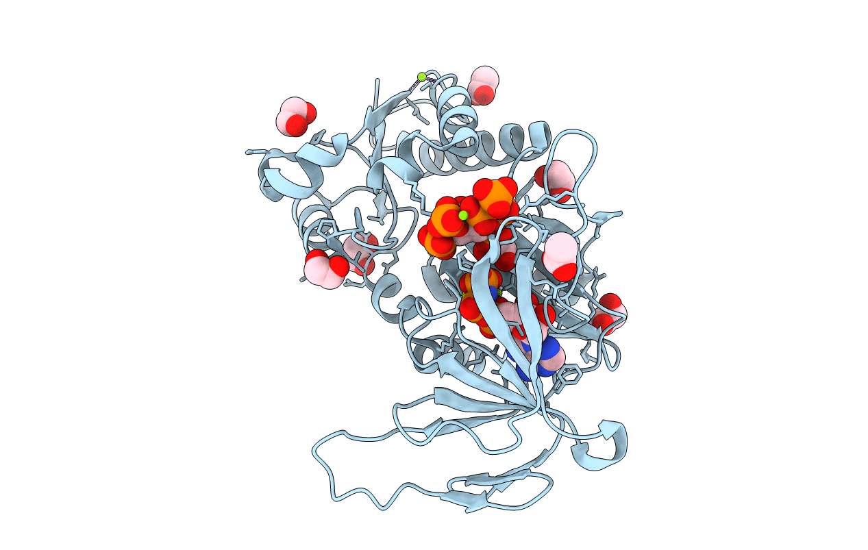5DGH image