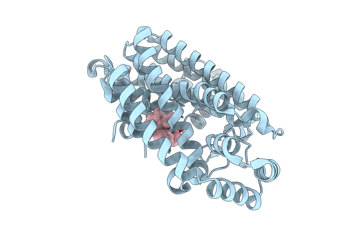 5DGN image