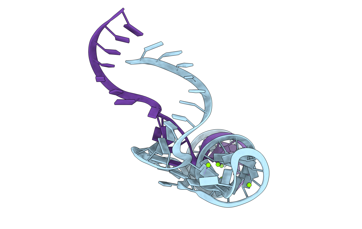 5DH6 image