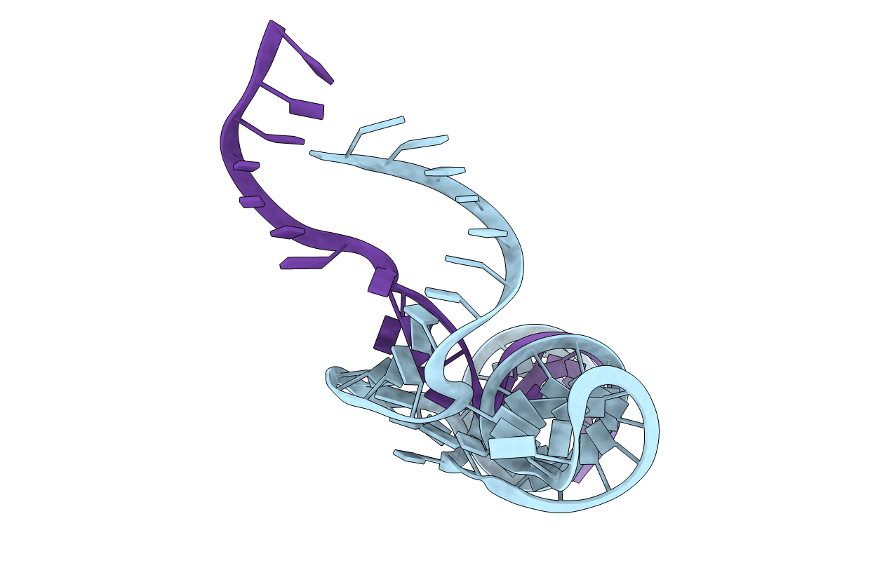 5DH8 image