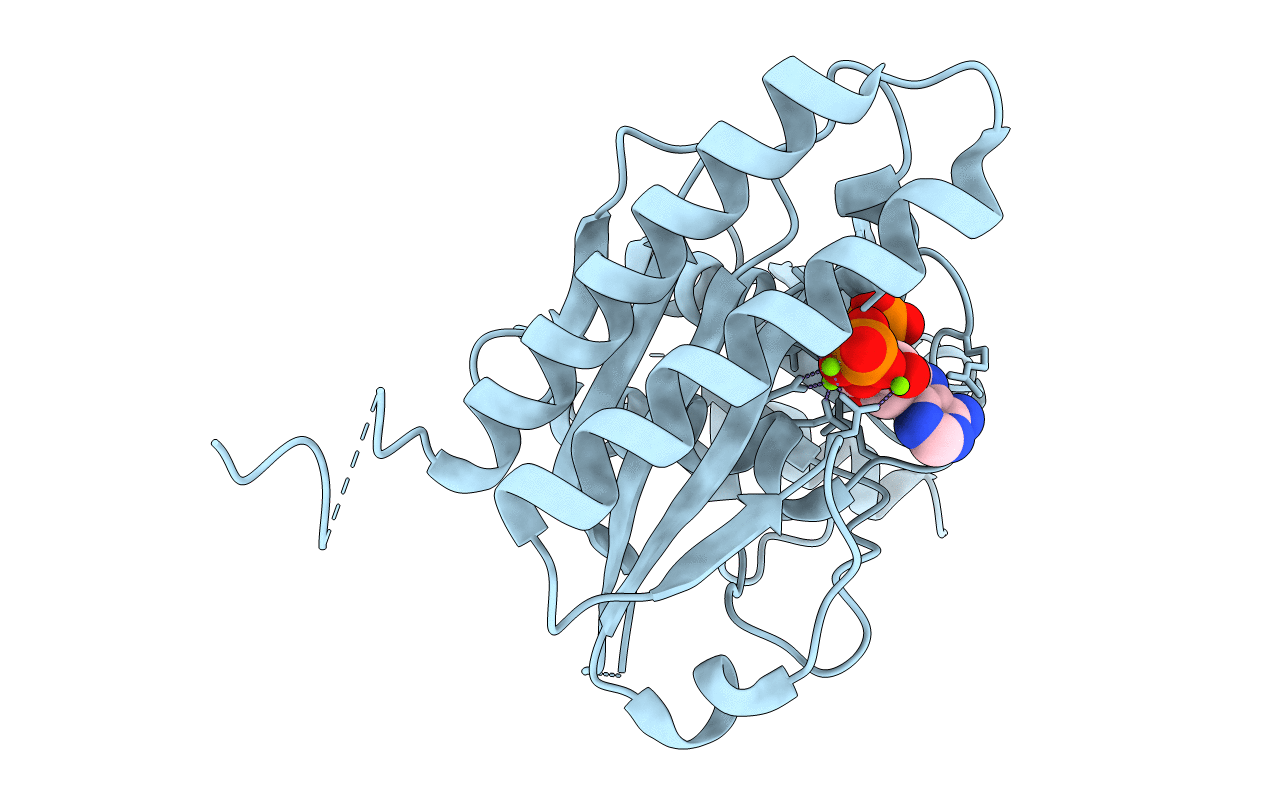 5DJH image