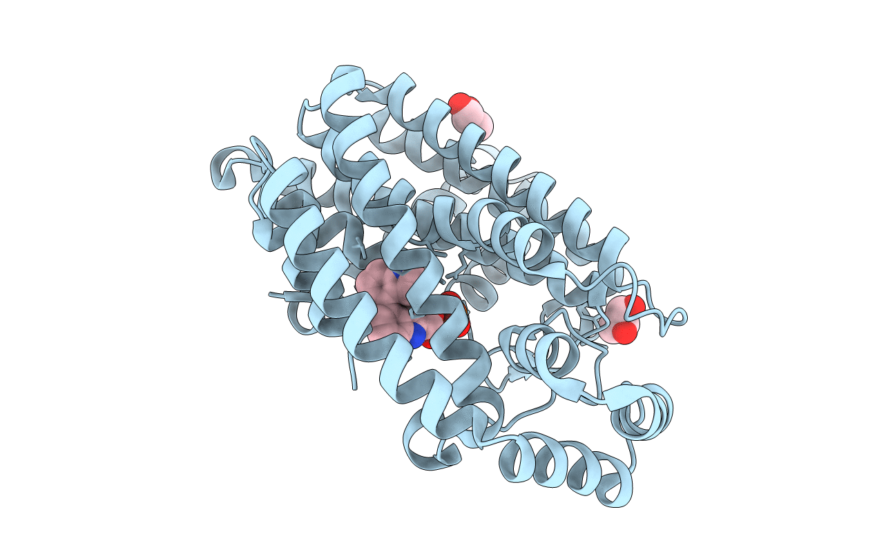 5DJR image