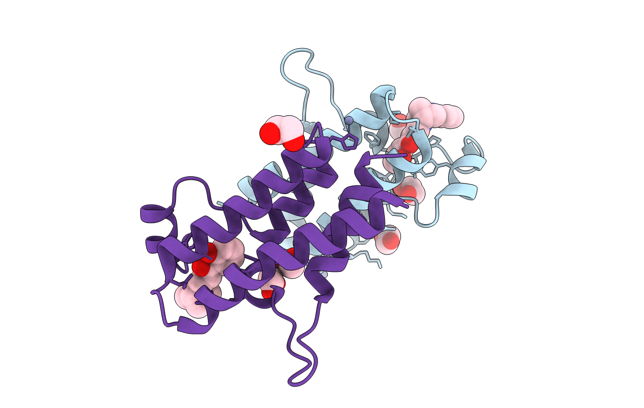 5DKD image