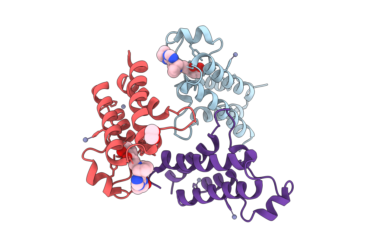 5DKH image